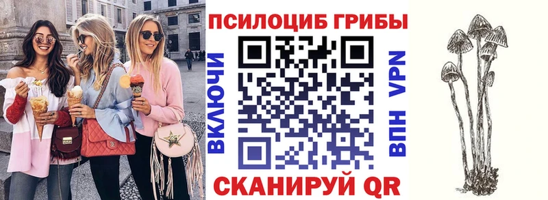 Галлюциногенные грибы Cubensis  даркнет сайт  Сергач 